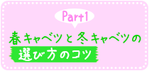 ボタン1　春キャベツと冬キャベツの選び方のコツ
