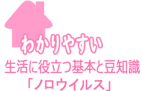 わかりやすい生活に役立つノロウイルス