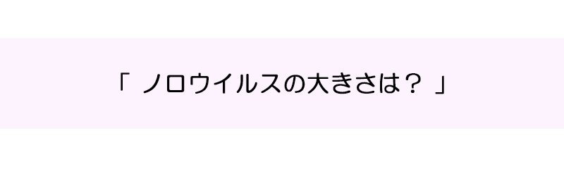 ノロウイルスの大きさは？