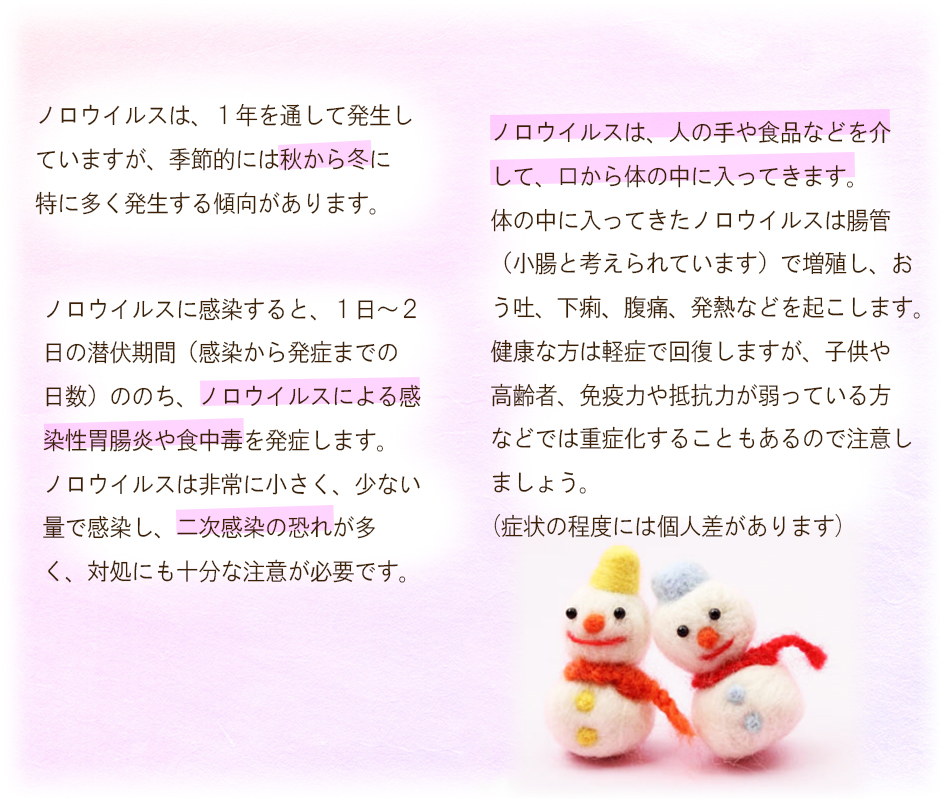 ノロウイルスは、１年を通して発生していますが、季節的には秋から冬に特に多く発生する傾向があります。ノロウイルスに感染すると、１日～２日の潜伏期間（感染から発症までの日数）ののち、ノロウイルスによる感染性胃腸炎や食中毒を発症します。ノロウイルスは非常に小さく、少ない量で感染し、二次感染の恐れが多く、対処にも十分な注意が必要です。ノロウイルスは、人の手や食品などを介して、口から体の中に入ってきます。体の中に入ってきたノロウイルスは腸管（小腸と考えられています）で増殖し、おう吐、下痢、腹痛、発熱などを起こします。健康な方は軽症で回復しますが、子供や高齢者、免疫力や抵抗力が弱っている方などでは重症化することもあるので注意しましょう。(症状の程度には個人差があります)